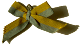 Suffrage Ribbon. Women's Suffrage Ephemera Collection, Bryn Mawr College Library